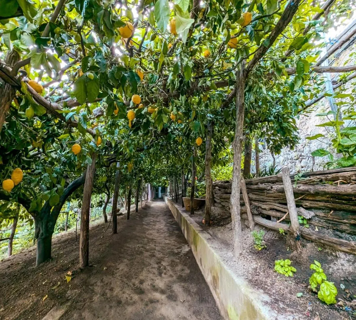 Appartamento Casa Emi Amalfi